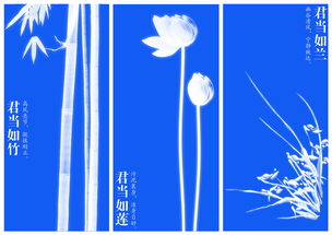 廉洁自律，共建清风社会——廉政公益广告设计理念与实践